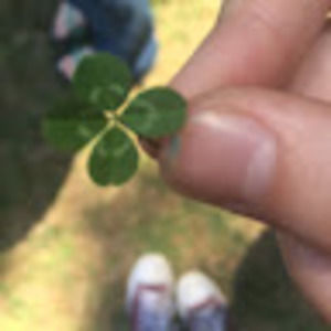 Meet your Posher, Lucy